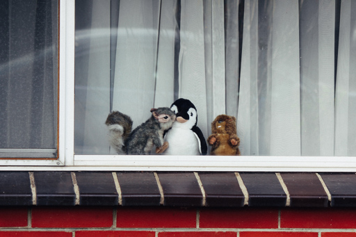 Soft Toys in Window