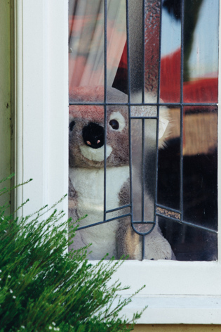 Toy Koala in Window