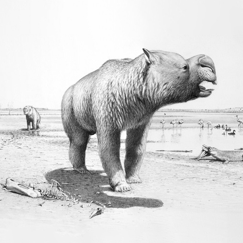 Diprotodons walking along drying lake