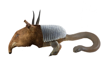 Build a Beast example