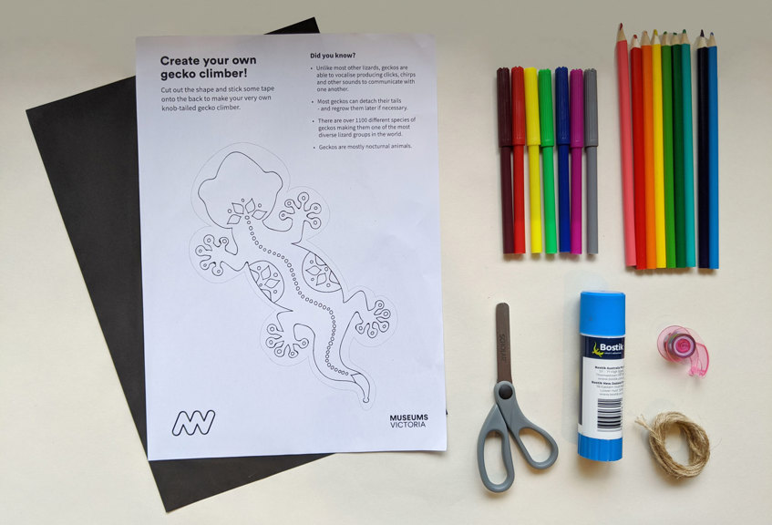 Gecko climber activity