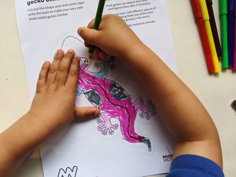 Gecko climber activity