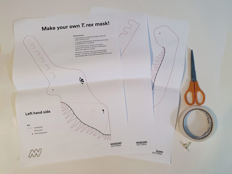 Paper, scissors and tape