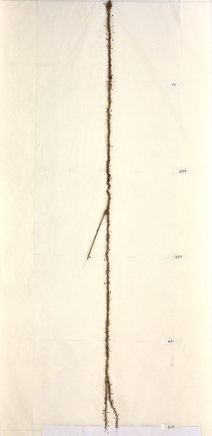 Fully assembled fulgurite