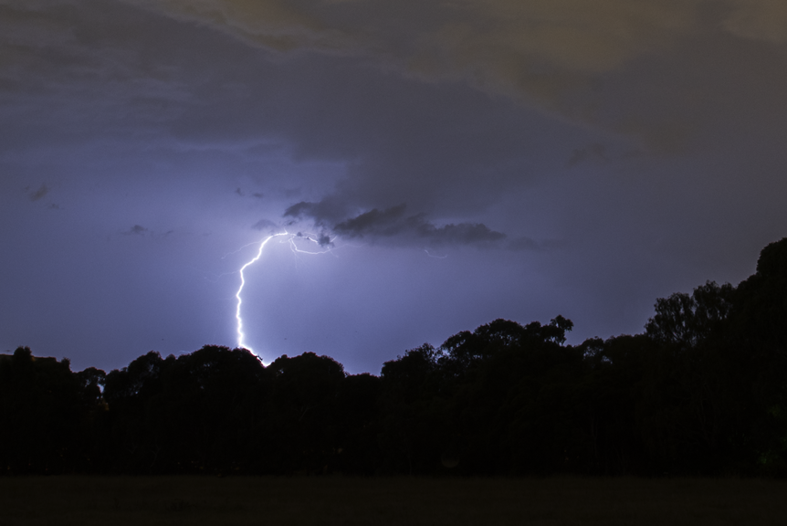 Lightning strike behind trees