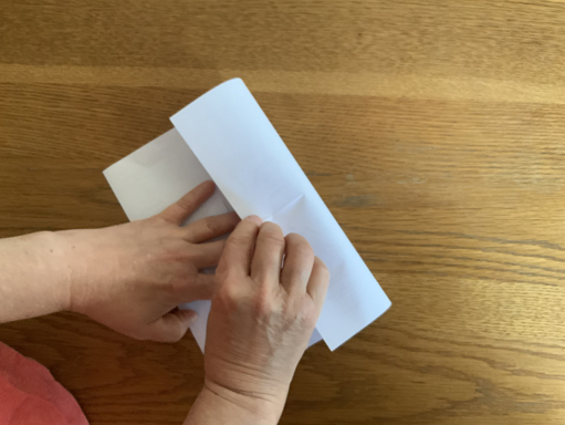 BeeZine folding instructions