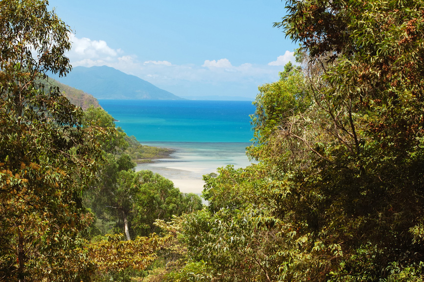 Daintree National Park: jungle encroaching on a beach. In the background: a mountain.
