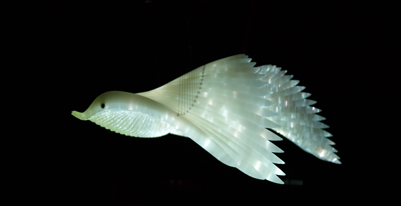 About the exhibition