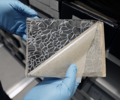 a photo with what appears to be a cracked outer surface 