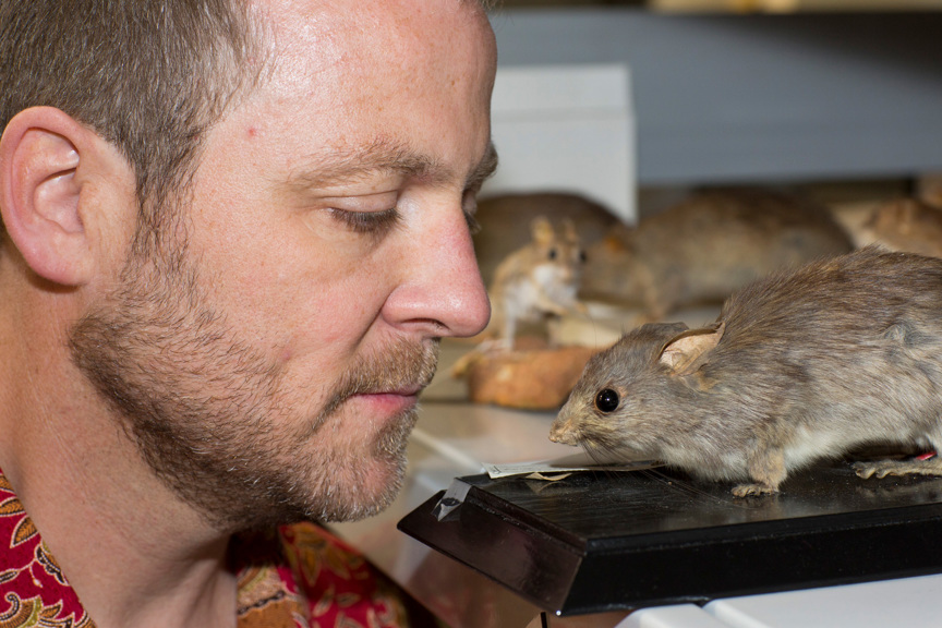 Close-up of a man looking at a mounted specimen