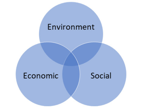 Venn diagram: three circles variously reading Environment, Economic and Social