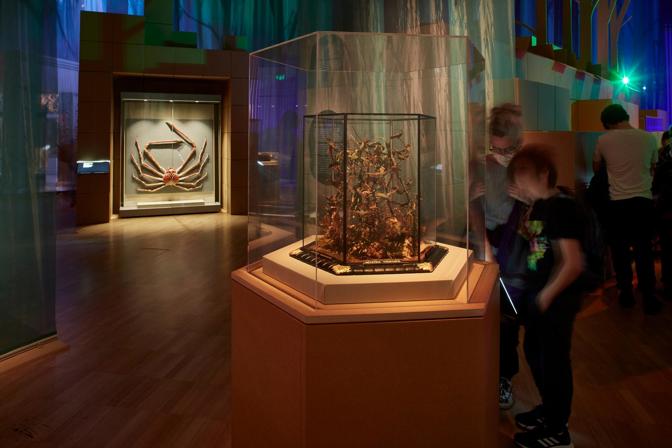 People viewing a museum exhibition