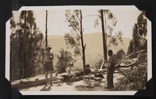 Group of people having a picnic in a bush setting