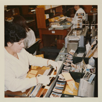 Woman wear white gloves sorting photographs