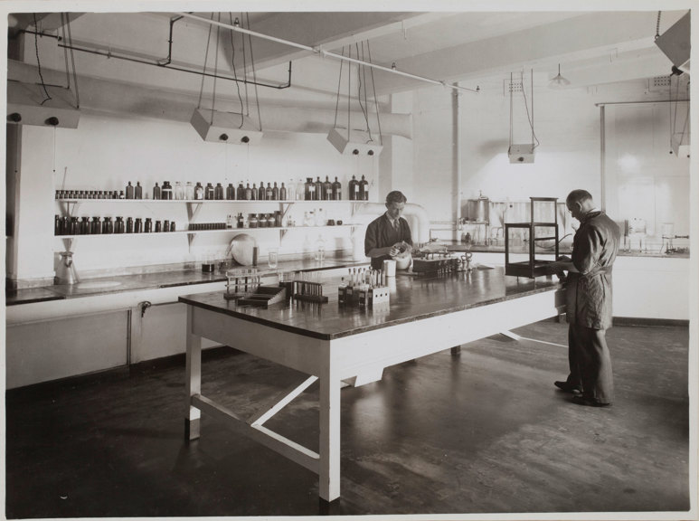 Two workers working at large table