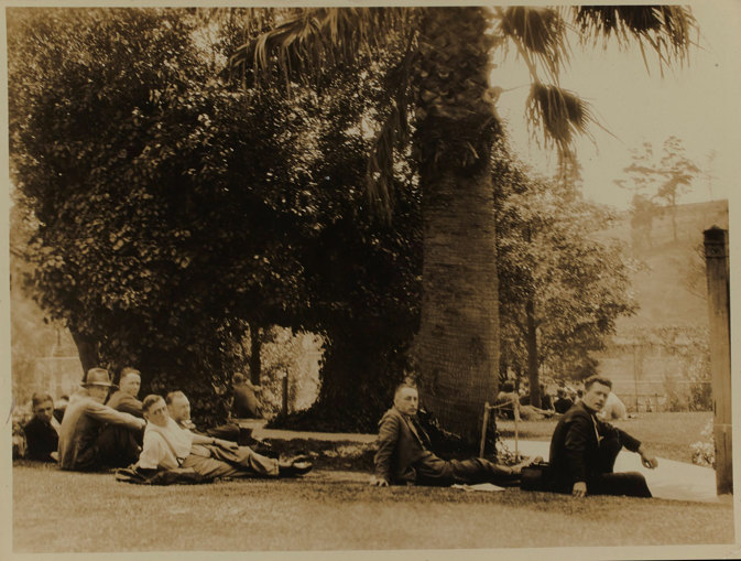 People reclining on grass under palm tree