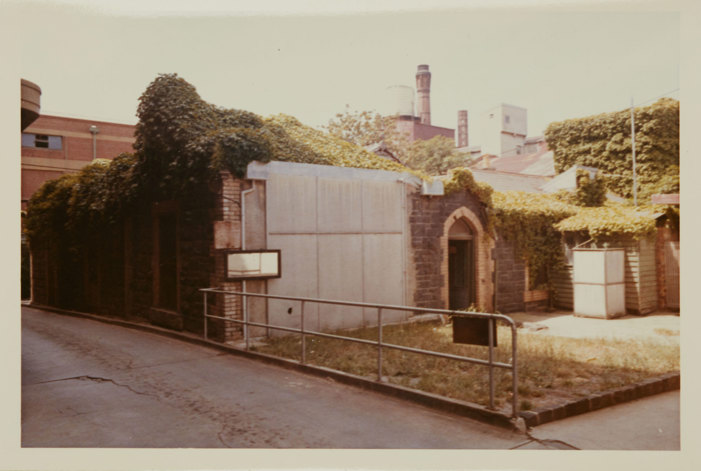 Building with ivy growing over the facade