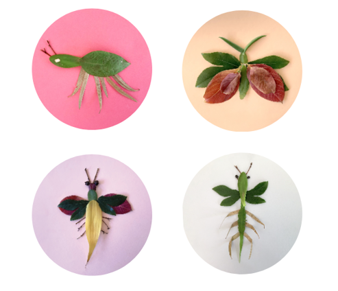 insects made from leaves and twigs