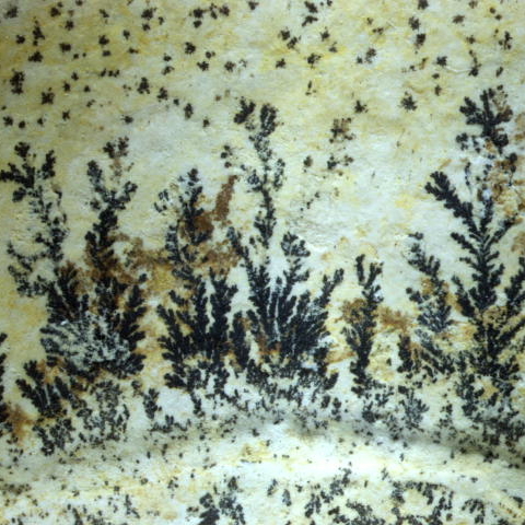 Black marks on a pale surface