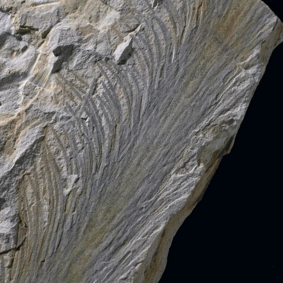 Grey marks on grey surface