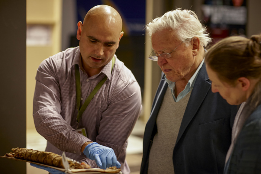 A photograph of three people looking at a tray of objects