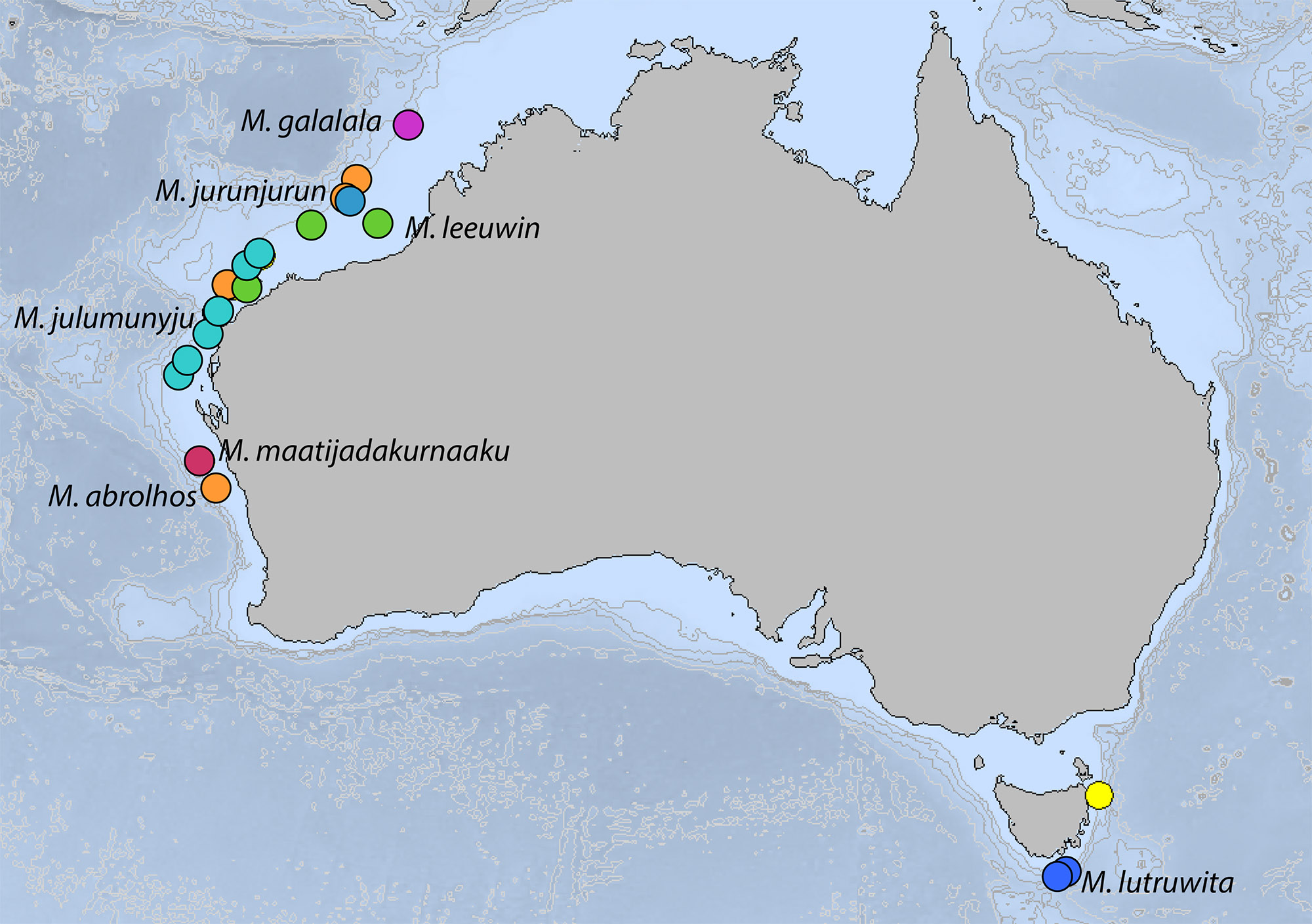 A map of Australia with dotted locations of marine biology surveys