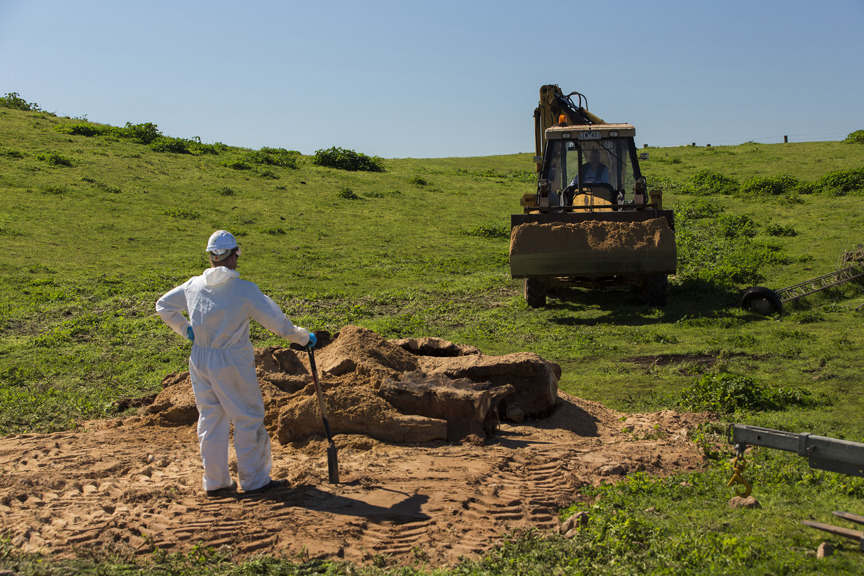 A man in a white protective suit stands on a bed of sand in a green field with a large yellow earthmover nearby 
