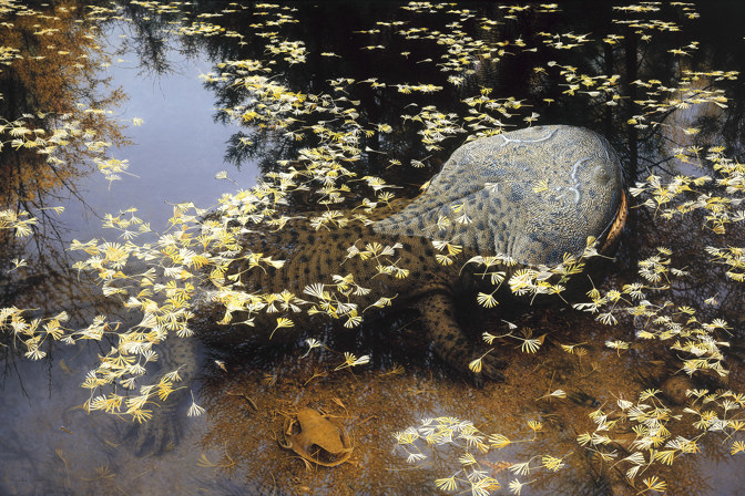 Illustration of an amphibious dinosaur in shallow water