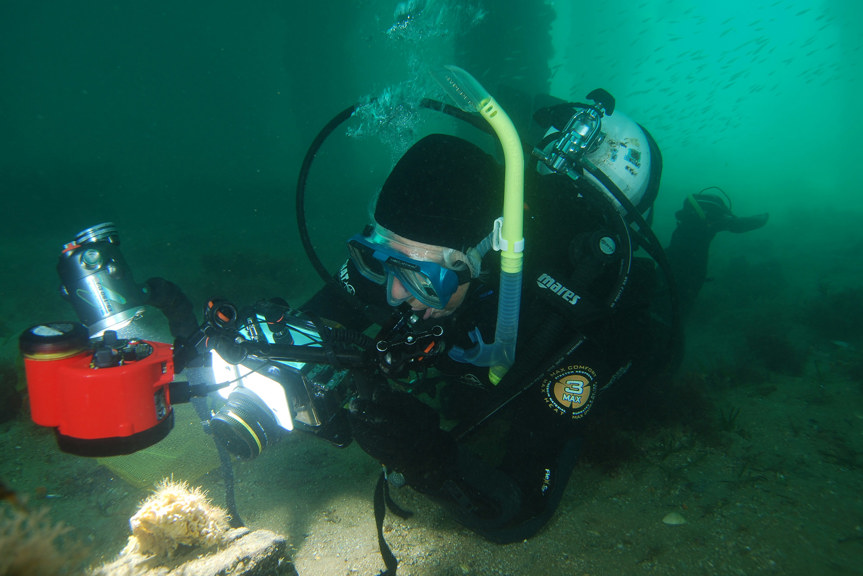 a diver wearing a wetsuit, using a camera and lights to take a photograph of a spiky marine creature
