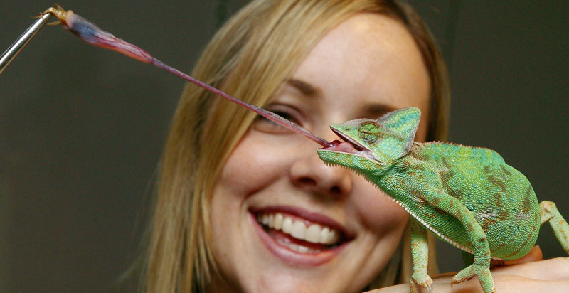 Forbidden objects in the museum's collection
