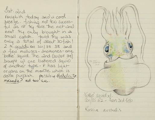 a lined page of a diary from February 1985 showing a brightly coloured image of a squid