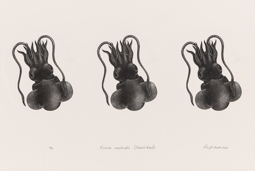 a illustration of three identical small squid in a row