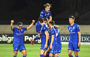 Group of footballers cele