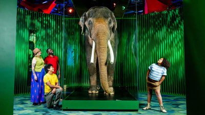 A museum exhibit featuring a life-sized Asian elephant mounted inside a green-framed glass display. The background is illuminated with vertical green stripes, creating a forest-like effect. Several visitors stand around the enclosure observing the elephant, with a blue patterned flooring beneath.