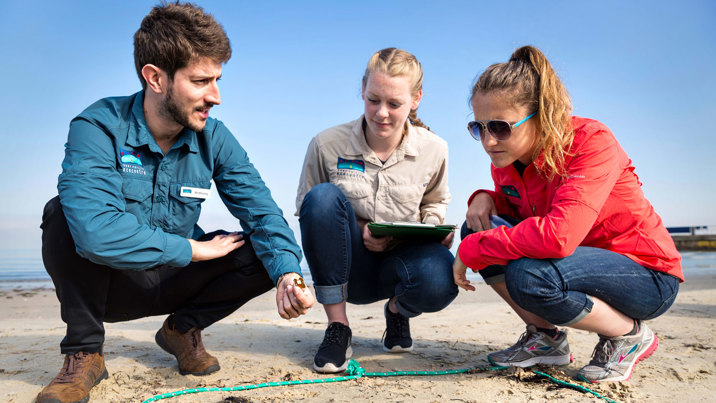 A group of scientists discuss plastic waste at the beach