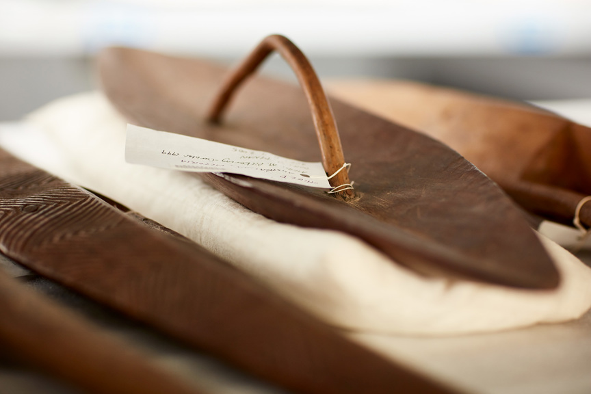 Shield on a supported by a archival cushion