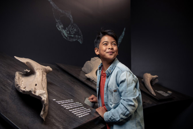 Smiling child standing in front of an exhibition interactive