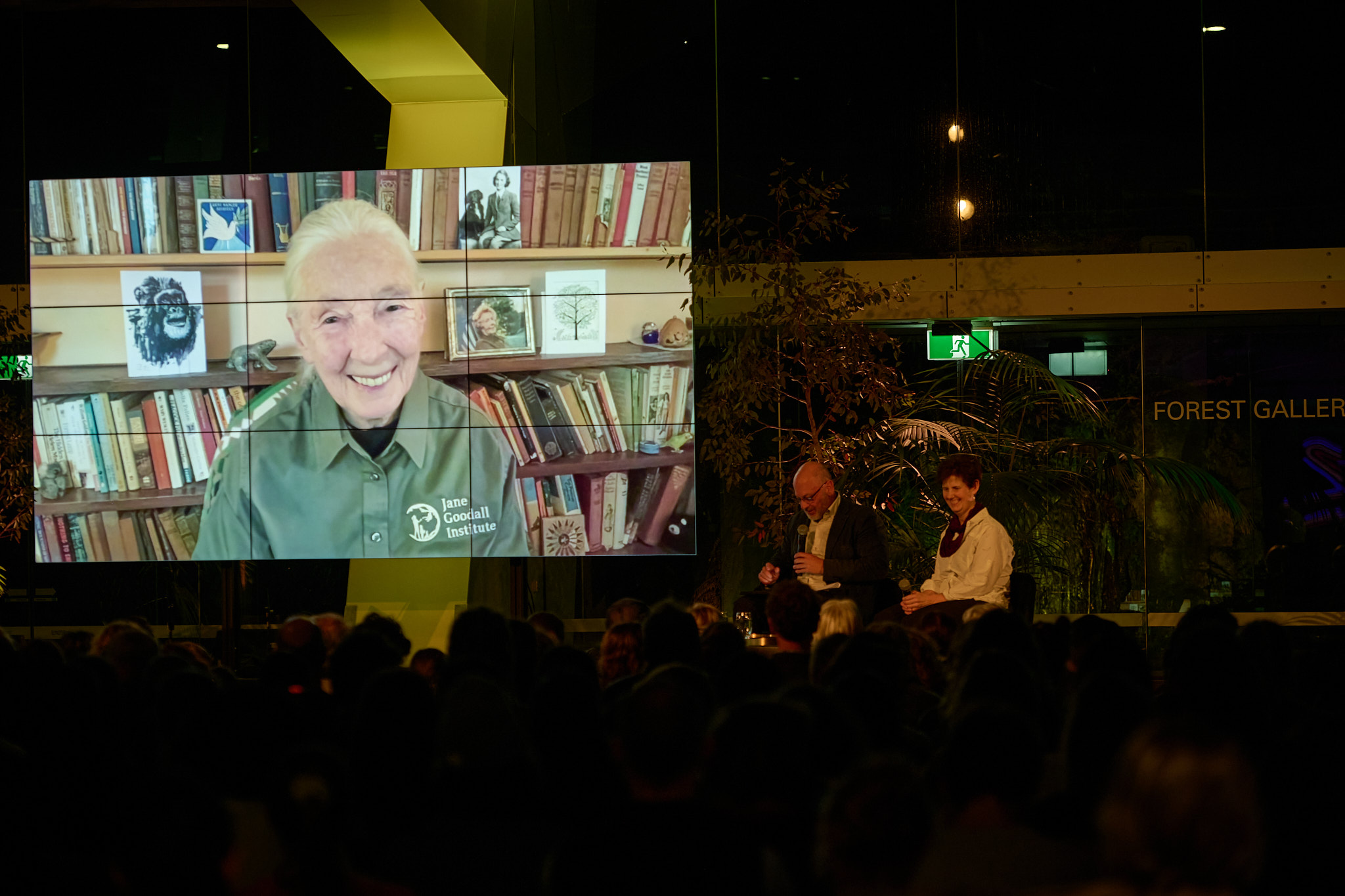 Large screen with Dr Jane Goodall smiling and speaking with Tim Flannery and Jane Melville on a stage outside Melbourne Museum Forest Gallery. 