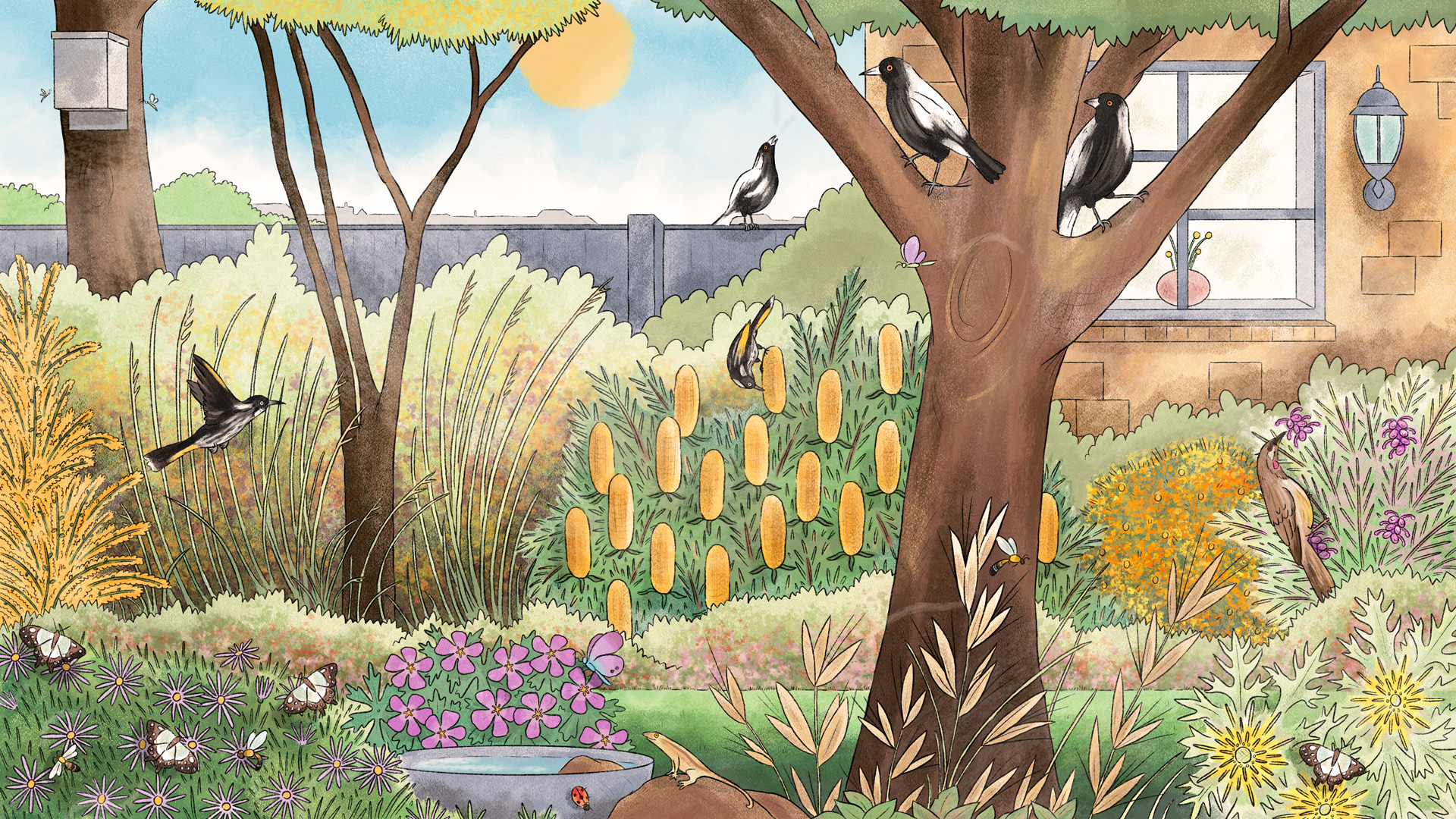 A backyard garden full of wildlife in the day