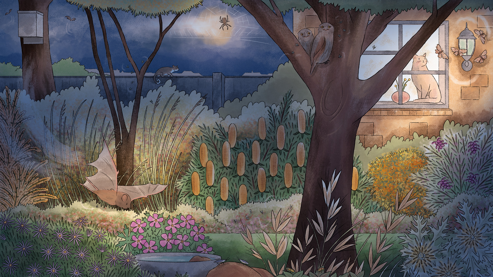 A backyard garden full of wildlife at night
