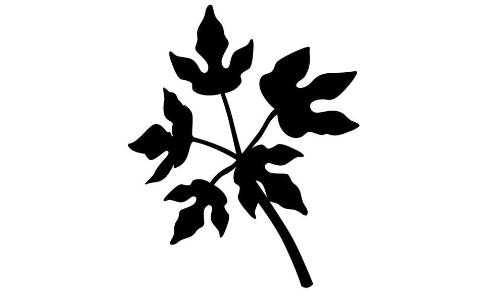 Silhouette of a plant with five leaves at the end of a stem, each with three distinct parts sticking out from the center of the leaf.   