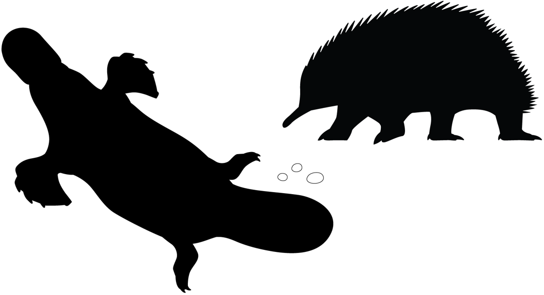 Silhouette of a platypus on the left and an echidna on the right. Between them are three round eggs.   