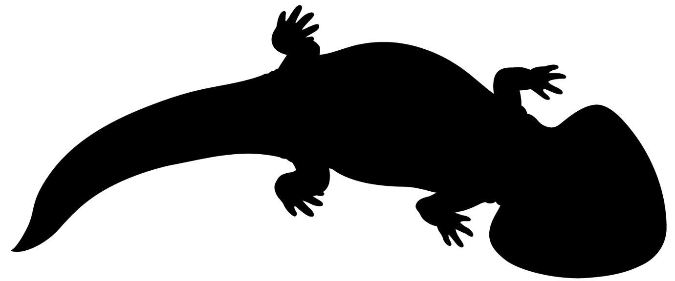 Silhouette of a huge, four-legged amphibian with a broad, wedge-shaped head and a thick tail, crawling over the ground.   