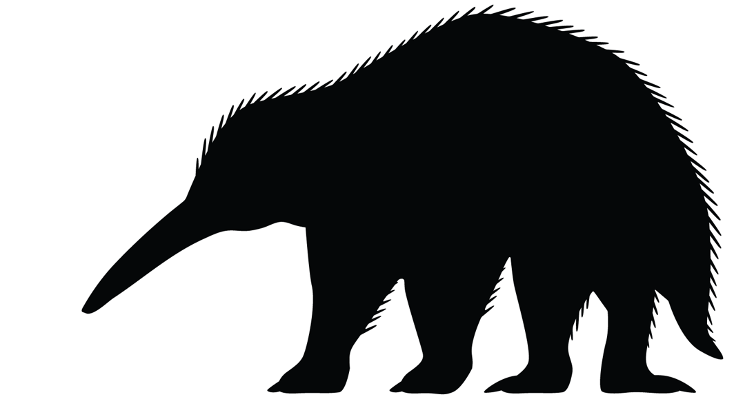 Silhouette of an echidna-like animal with a long nose and long legs.   