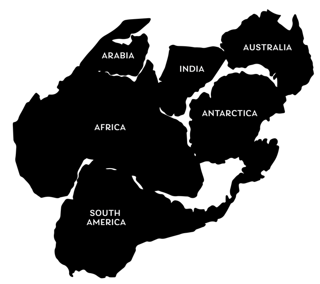 A simplified map of the Gondwana supercontinent, containing multiple land masses joined together: Arabia, Africa, South America, India, and Antarctica connected to Australia at the top-right edge.   