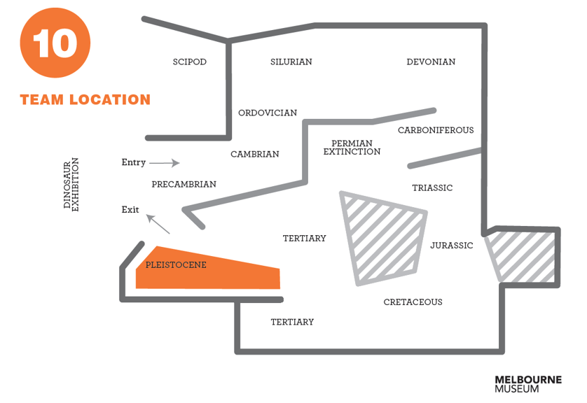 Floor plan of 600 million years exhibition