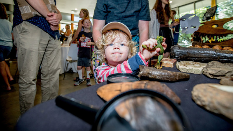 A child takes a closer look at the Dino Touch Table.