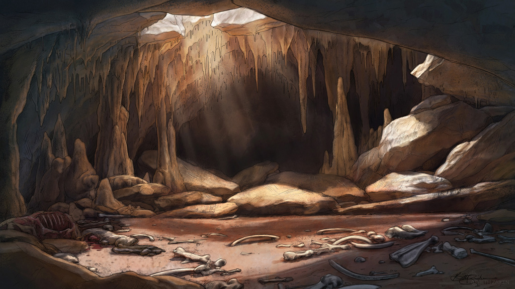 An empty cave with scratches on the wall, animal remains and bones on the floor