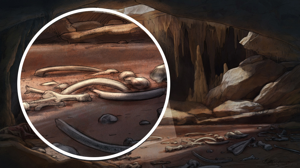 The same cave again, with the bones on the floor highlighted.