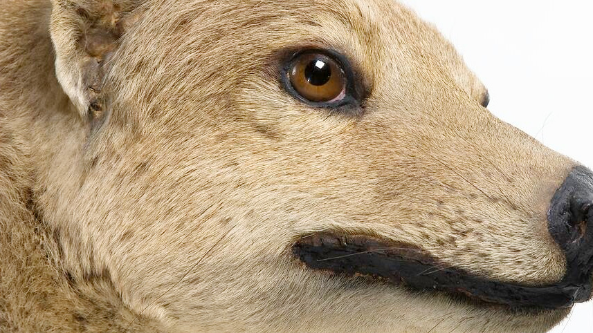 Discover Magazine Autumn 2023: Balance